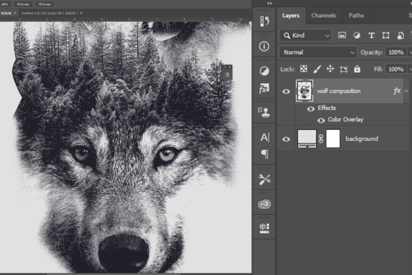 Double exposure of a wolf, work in progress