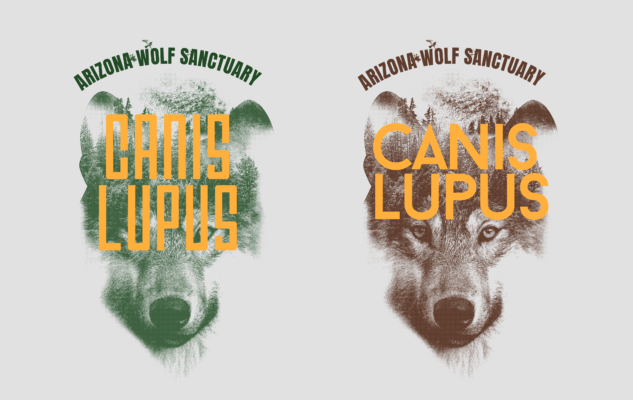 Two variations of a t-shirt design
