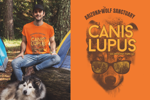 Cover Image for 3 Quick Ideas On How To Customize T-shirt Designs