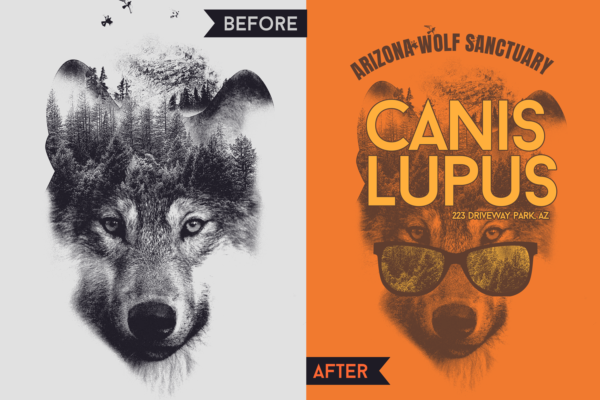 Double exposure designs.