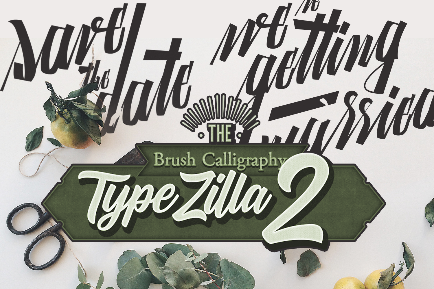 TypeZilla 2: Super Premium Handcrafted Typography Set