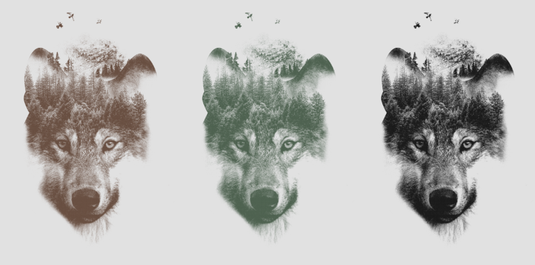 Color variation of a double exposure design